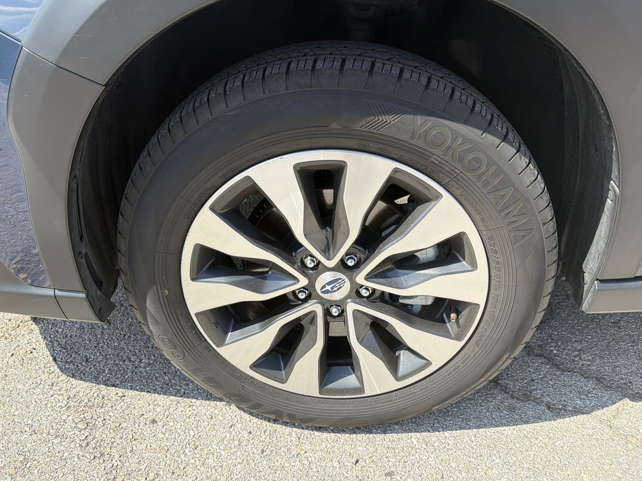 2024 Subaru Outback Limited San Antonio TX