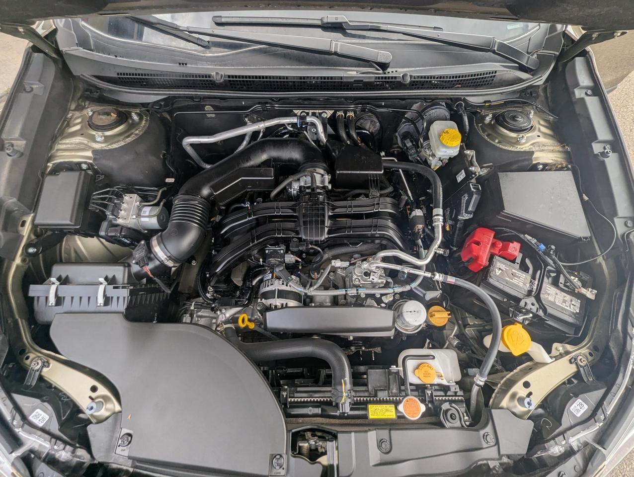 2024 Subaru Outback Premium Grand Junction CO