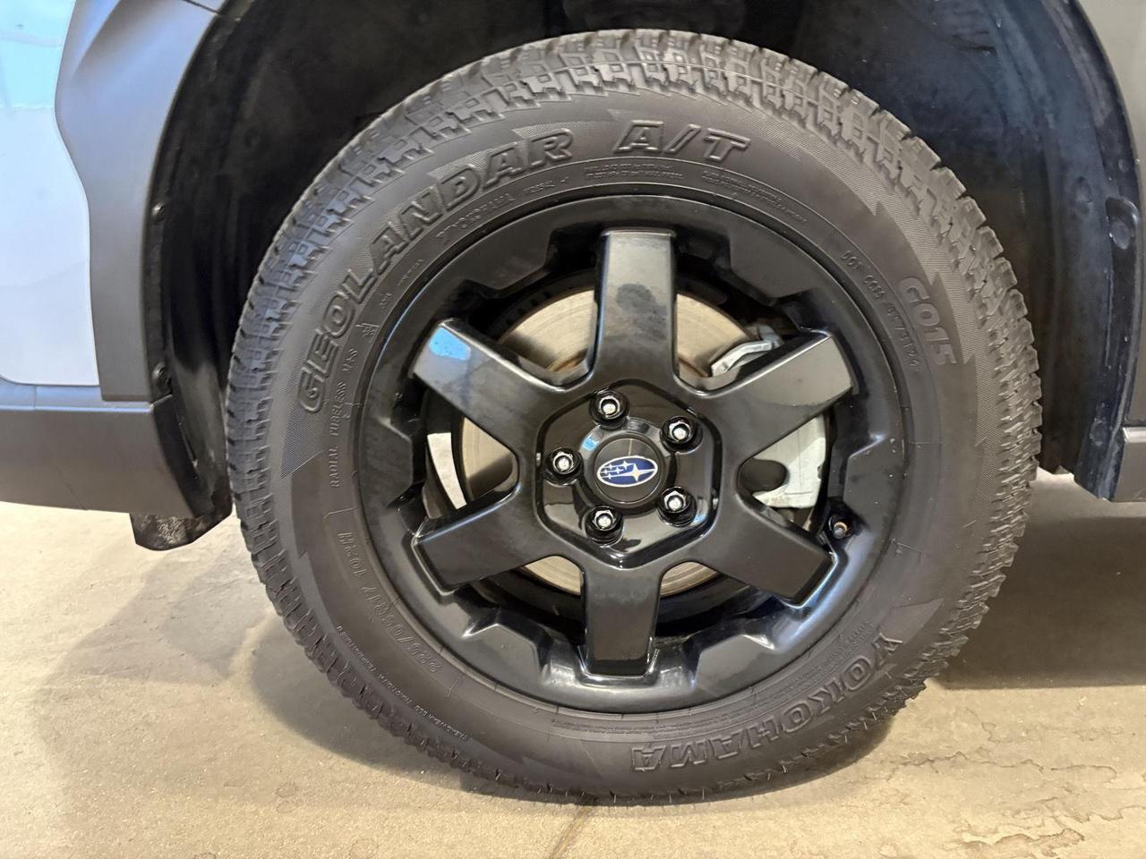 2024 Subaru Outback Wilderness Parker CO