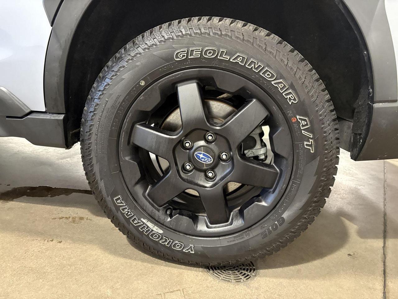 2024 Subaru Outback Wilderness Parker CO