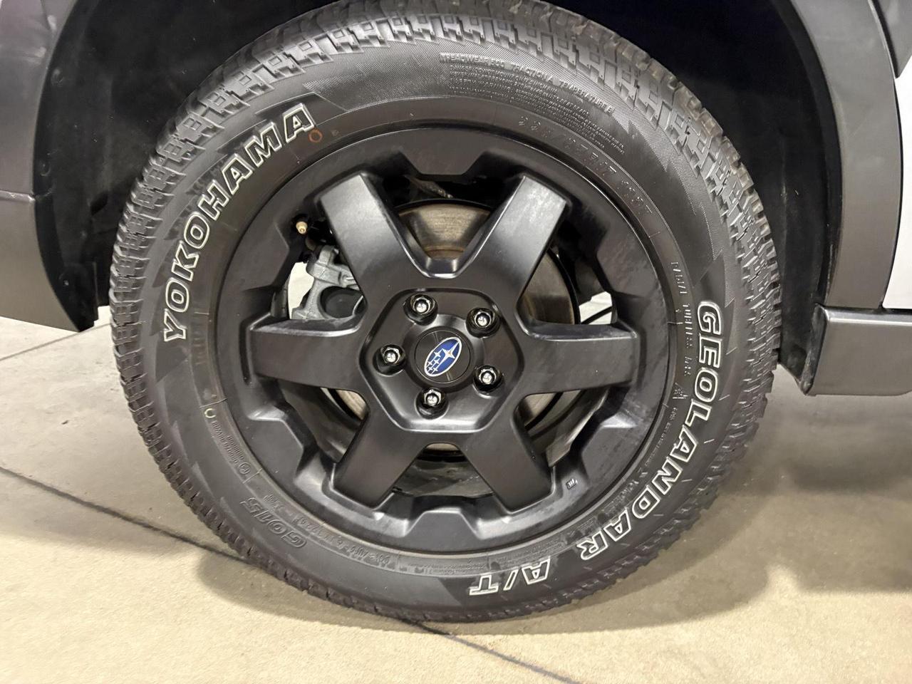 2024 Subaru Outback Wilderness Parker CO