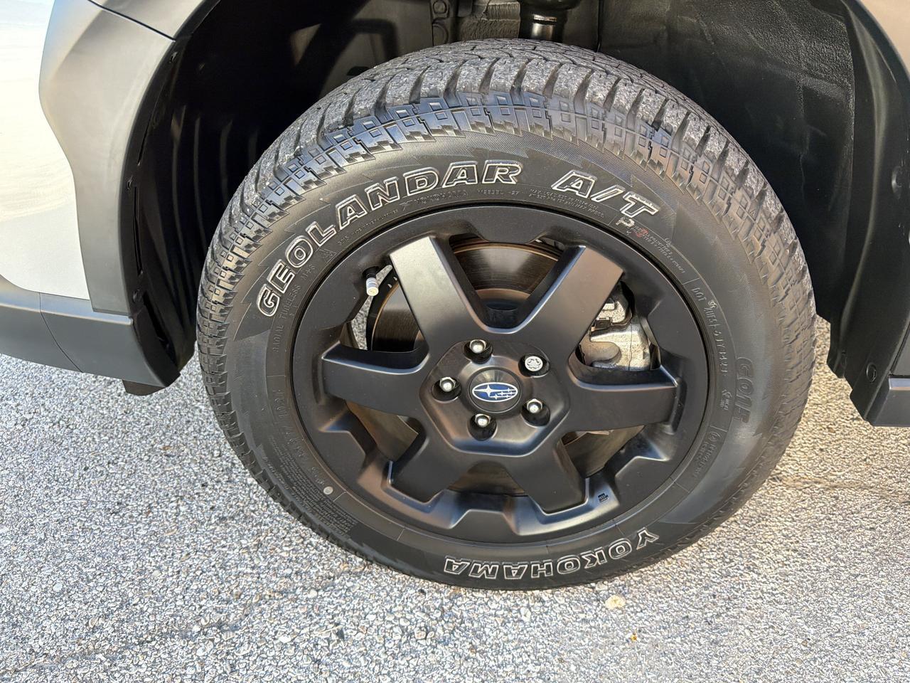 2024 Subaru Outback Wilderness San Antonio TX