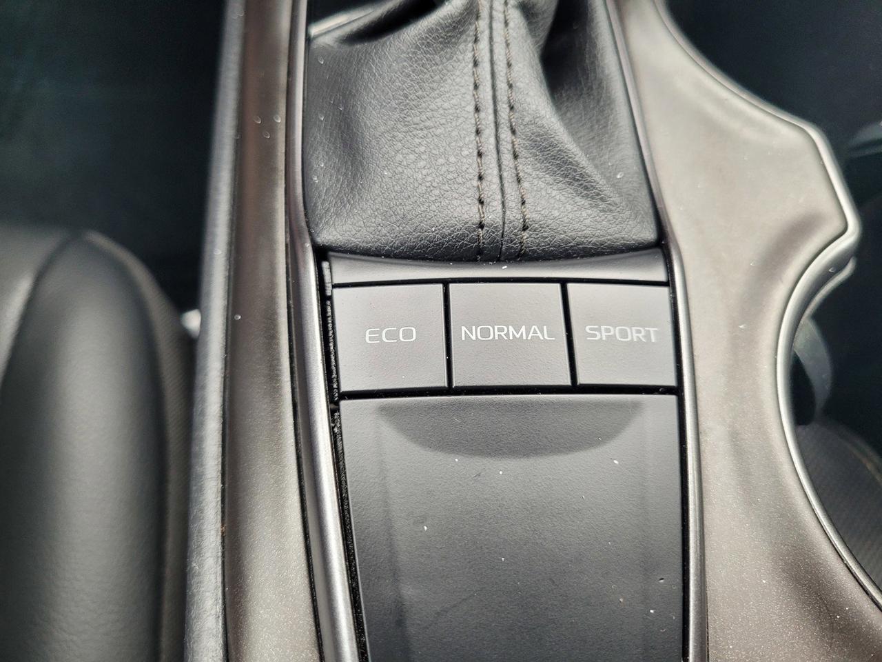 2024 TOYOTA CAMRY SE Roseville CA