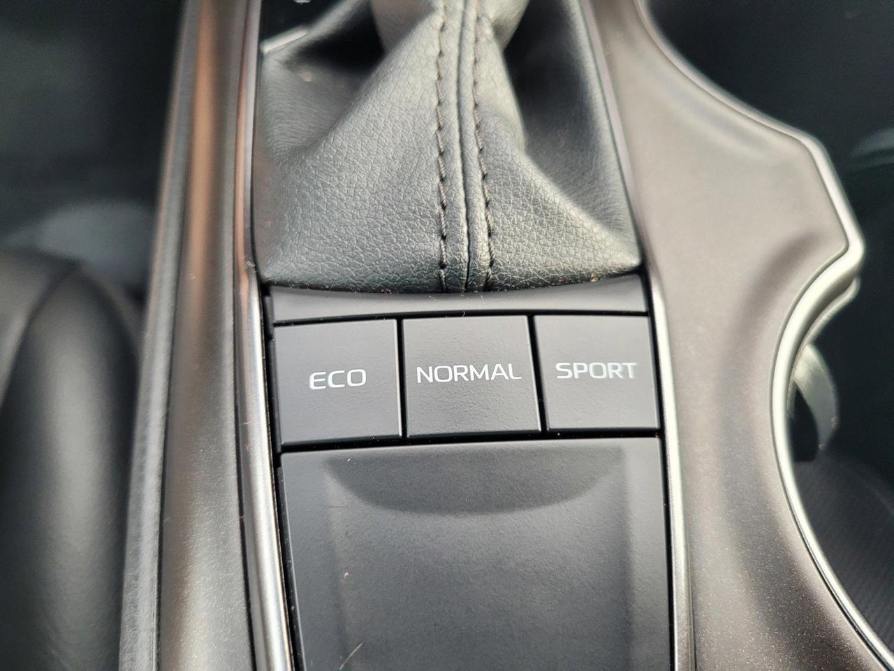 2024 TOYOTA CAMRY SE Roseville CA