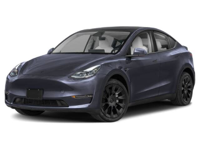 2024 Tesla Model Y Long Range Appleton WI