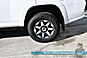2024 Toyota 4Runner TRD Off Road / 4X4 / 4.0L V6 / Power Driver's Seat / Adaptive Cruise / Lane Departure & Blind Spot Alert / Bluetooth / Back Up Camera / Keyless Entry & Start / Alloy Wheels / Tow Pkg / 1-Owner Anchorage AK