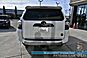2024 Toyota 4Runner TRD Off Road Premium / 4X4 / Power & Heated Leather Seats / Heated Steering Wheel / Sunroof / Navigation / Lane Watch & Blind Spot Alert / Apple CarPlay & Android Auto / Back up Cam / Tow Pkg / 1-Owner Anchorage AK