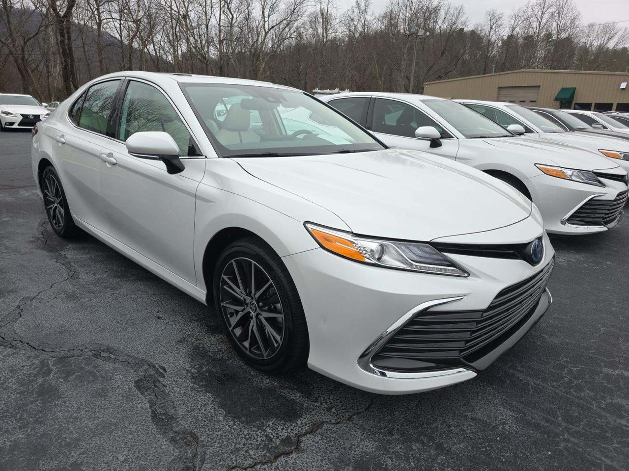 2024 Toyota Camry Hybrid XLE Knoxville TN