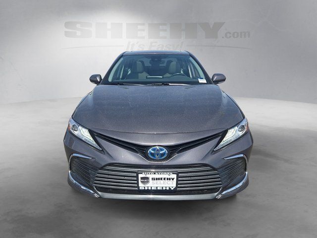 2024 Toyota Camry Hybrid XLE Fredericksburg VA