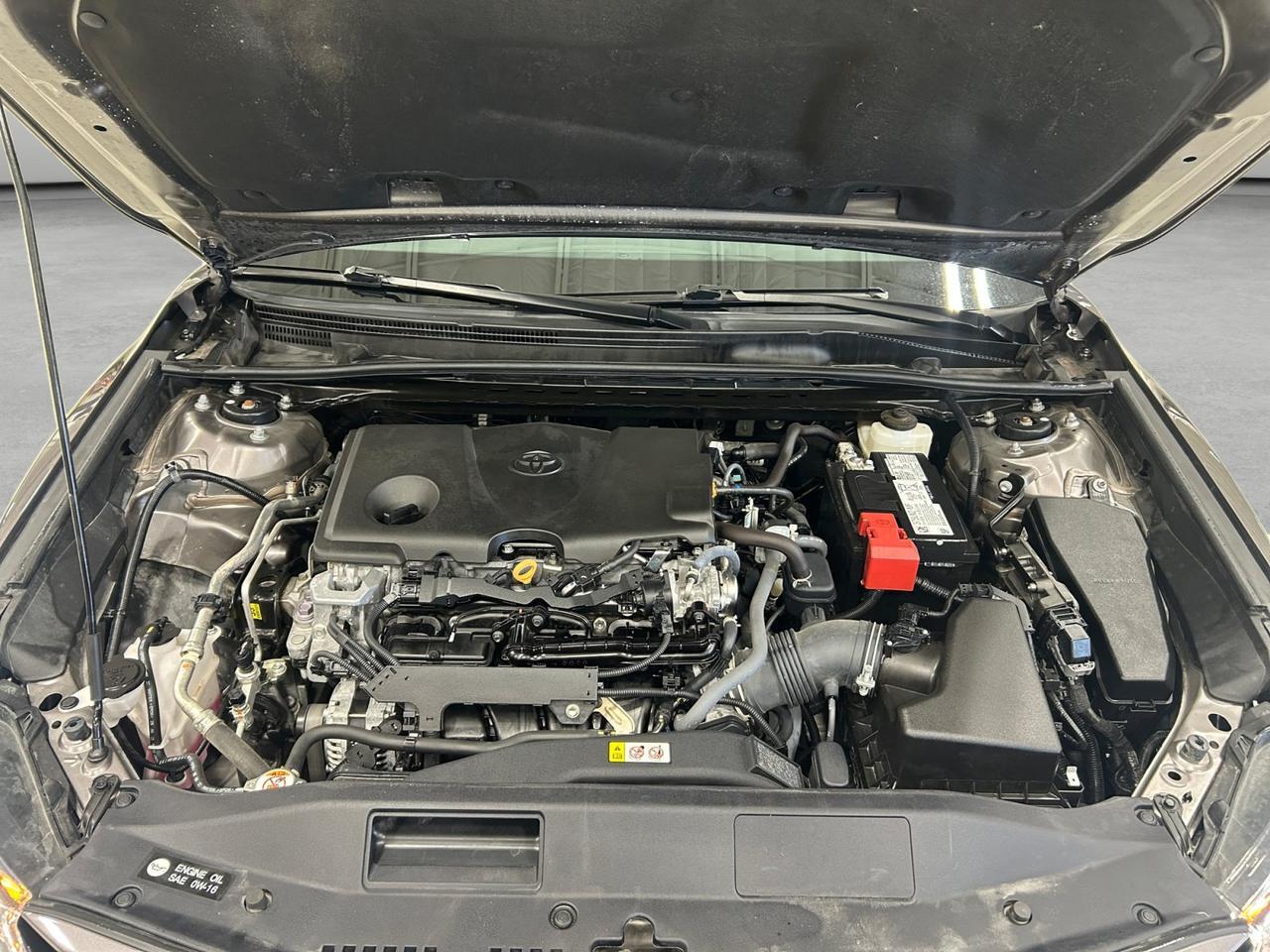 2024 Toyota Camry LE New Braunfels TX