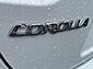 2024 Toyota Corolla LE Worcester MA