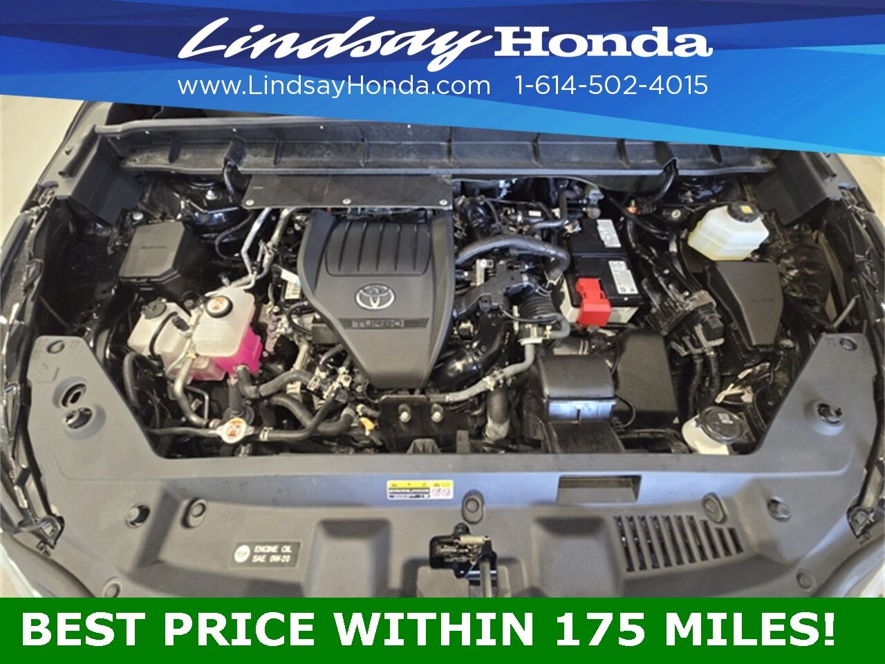 2024 Toyota Highlander XLE Columbus OH