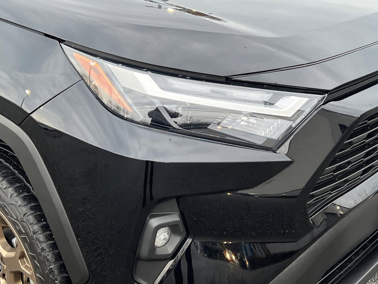 2024 Toyota RAV4 Hybrid Woodland Edition Hagerstown MD