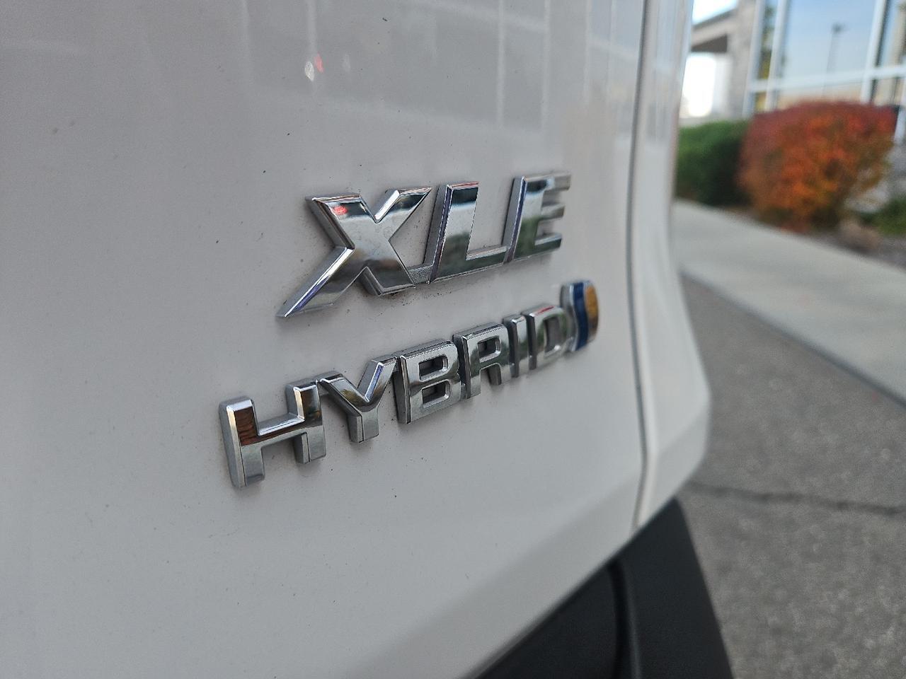 2024 Toyota RAV4 Hybrid XLE Grand Junction CO