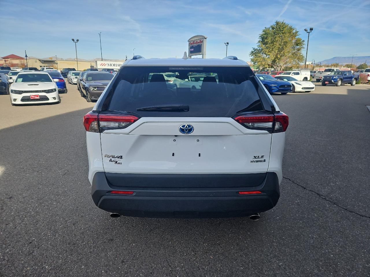 2024 Toyota RAV4 Hybrid XLE Grand Junction CO