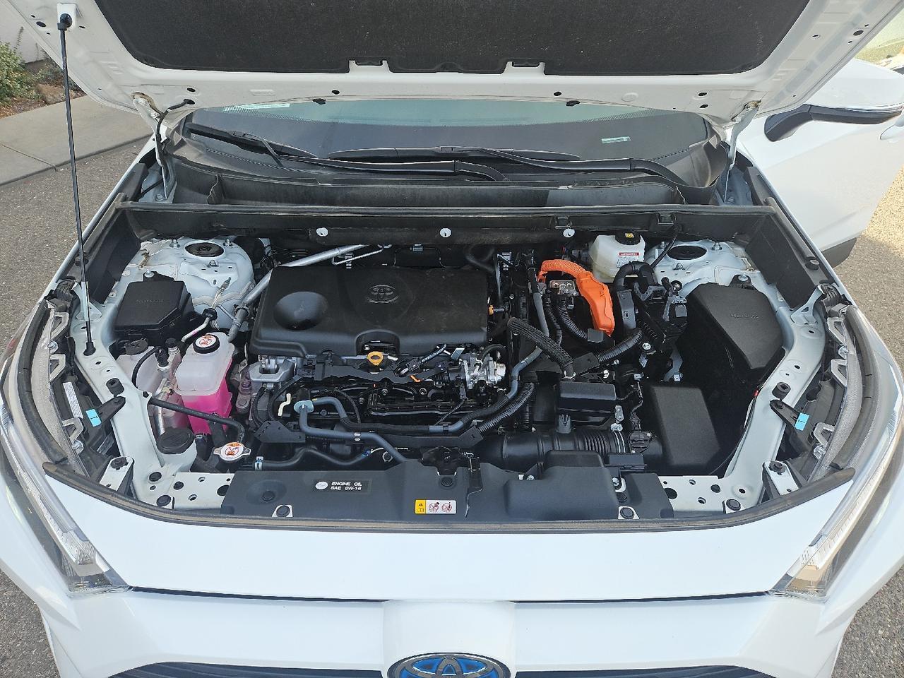 2024 Toyota RAV4 Hybrid XLE Grand Junction CO