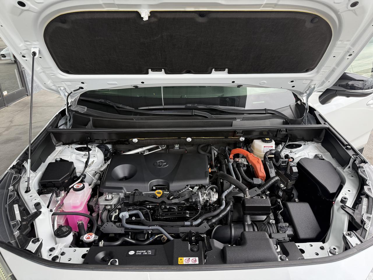 2024 Toyota RAV4 Hybrid XSE Knoxville TN