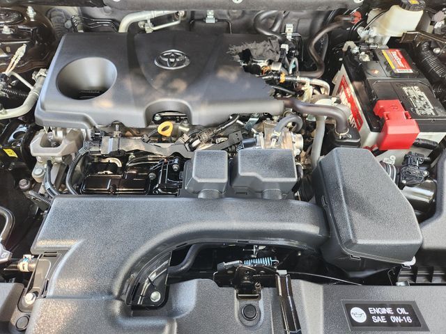 2024 Toyota RAV4 LE Grapevine TX