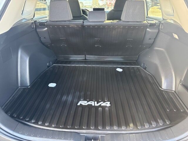2024 Toyota RAV4 LE Yuma AZ
