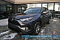 2024 Toyota RAV4 XLE / AWD / Auto Start / Weather Pkg / Power & Heated Cloth Seats / Heated Steering