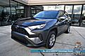 2024 Toyota RAV4 XLE / AWD / Auto Start / Weather Pkg / Power & Heated Cloth Seats / Heated Steering