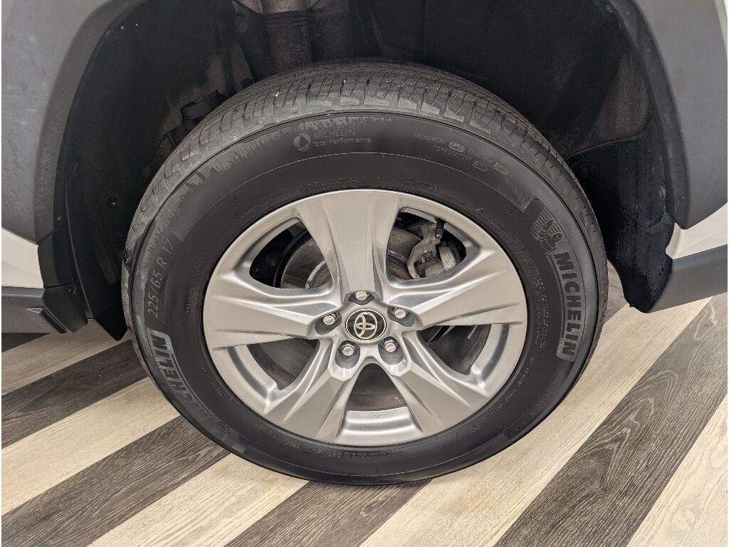 2024 Toyota RAV4 XLE Bozeman MT
