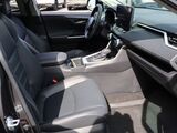 2024 Toyota RAV4 XLE Premium Oshkosh WI