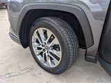 2024 Toyota RAV4 XLE Premium Oshkosh WI