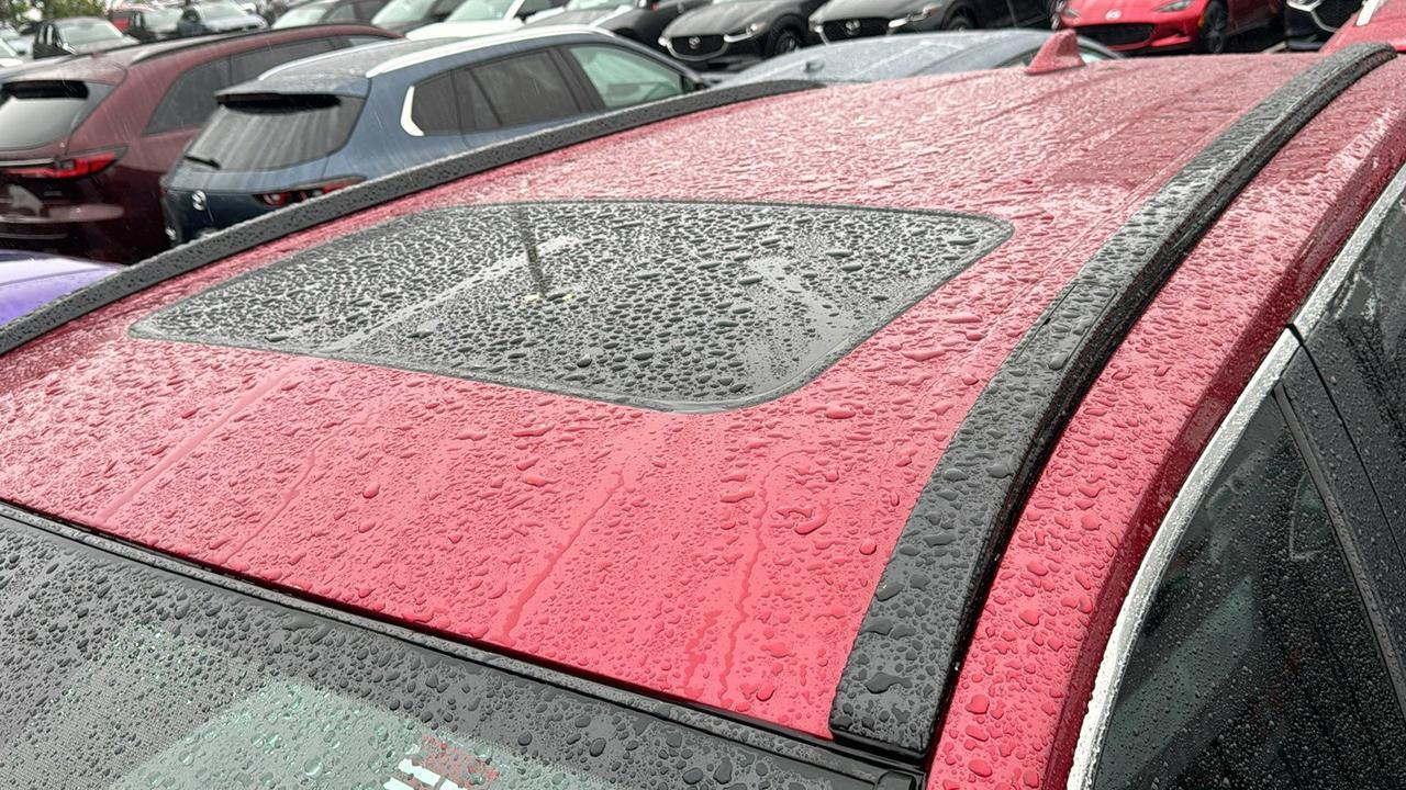 2024 Toyota RAV4 XLE Premium San Antonio TX