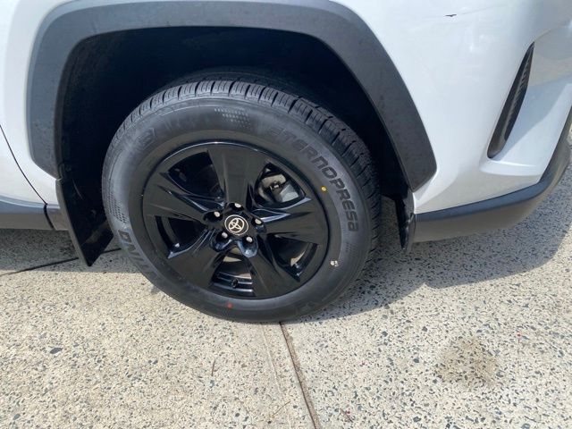 2024 Toyota RAV4 XLE Raleigh NC