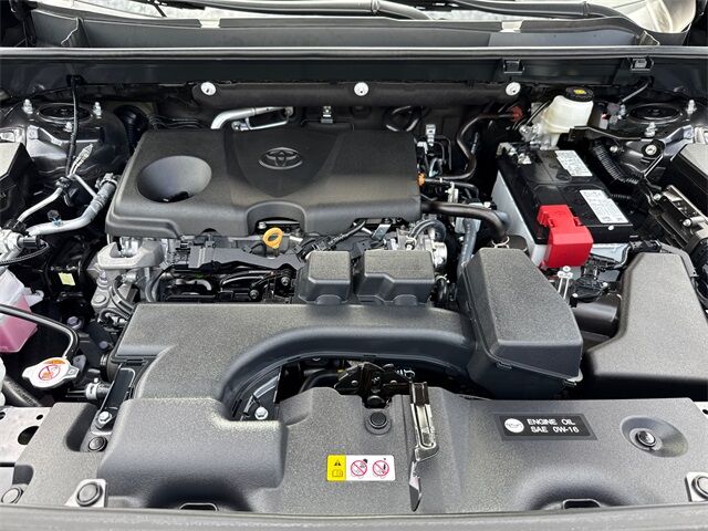 2024 Toyota RAV4 XLE San Juan Capistrano CA