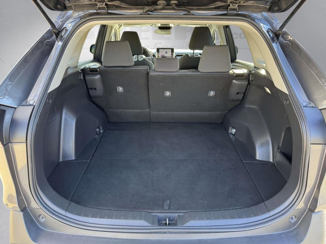 2024 Toyota RAV4 XLE Fredericksburg VA