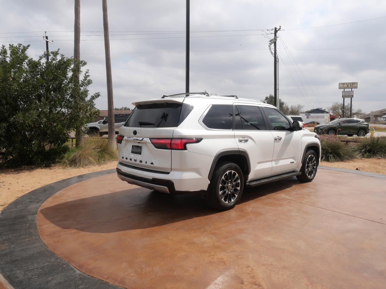 2024 Toyota Sequoia Limited