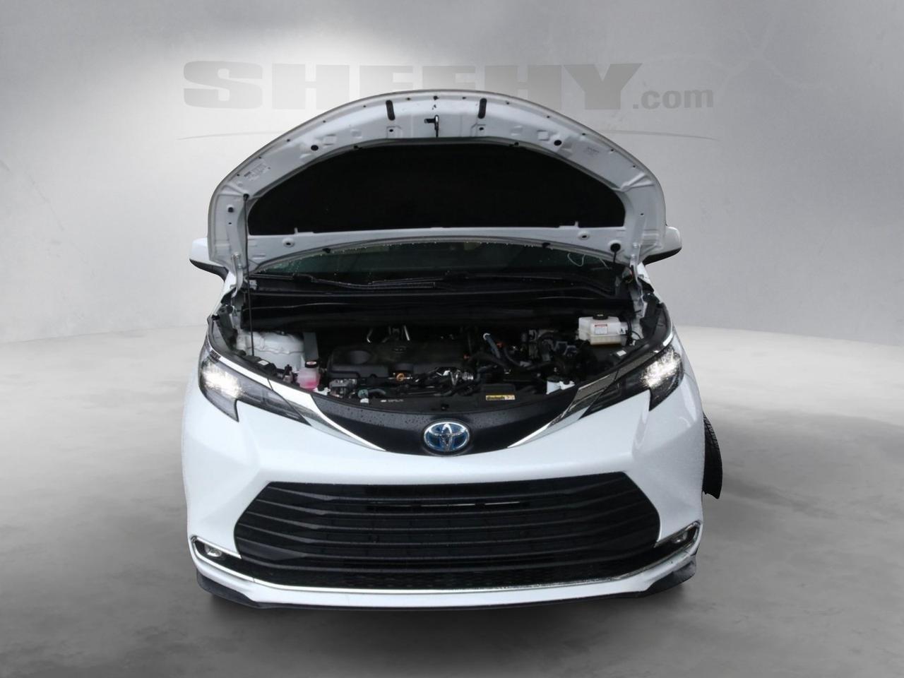 2024 Toyota Sienna XLE Fredericksburg VA