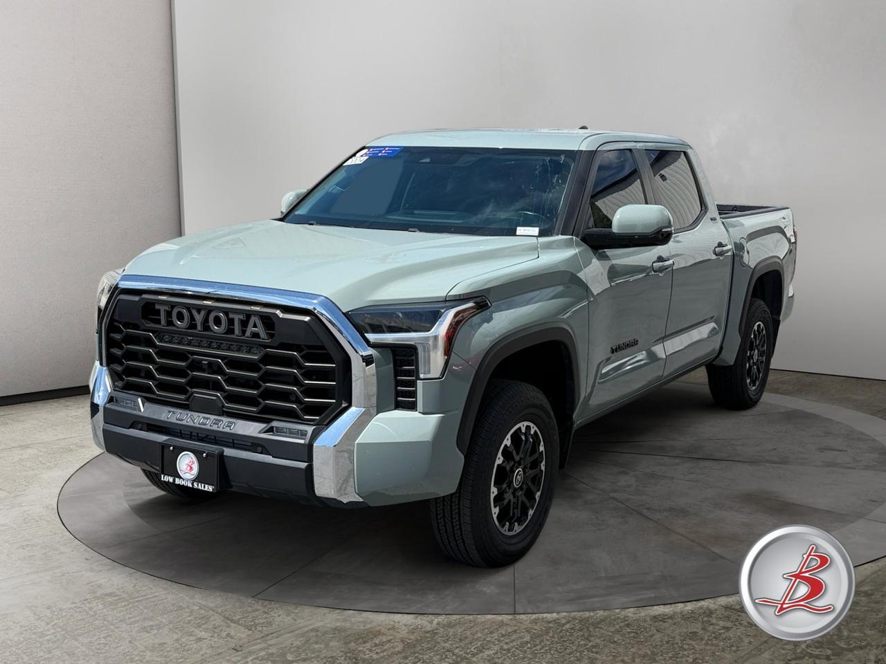 2024 Toyota TUNDRA 4WD SR5
