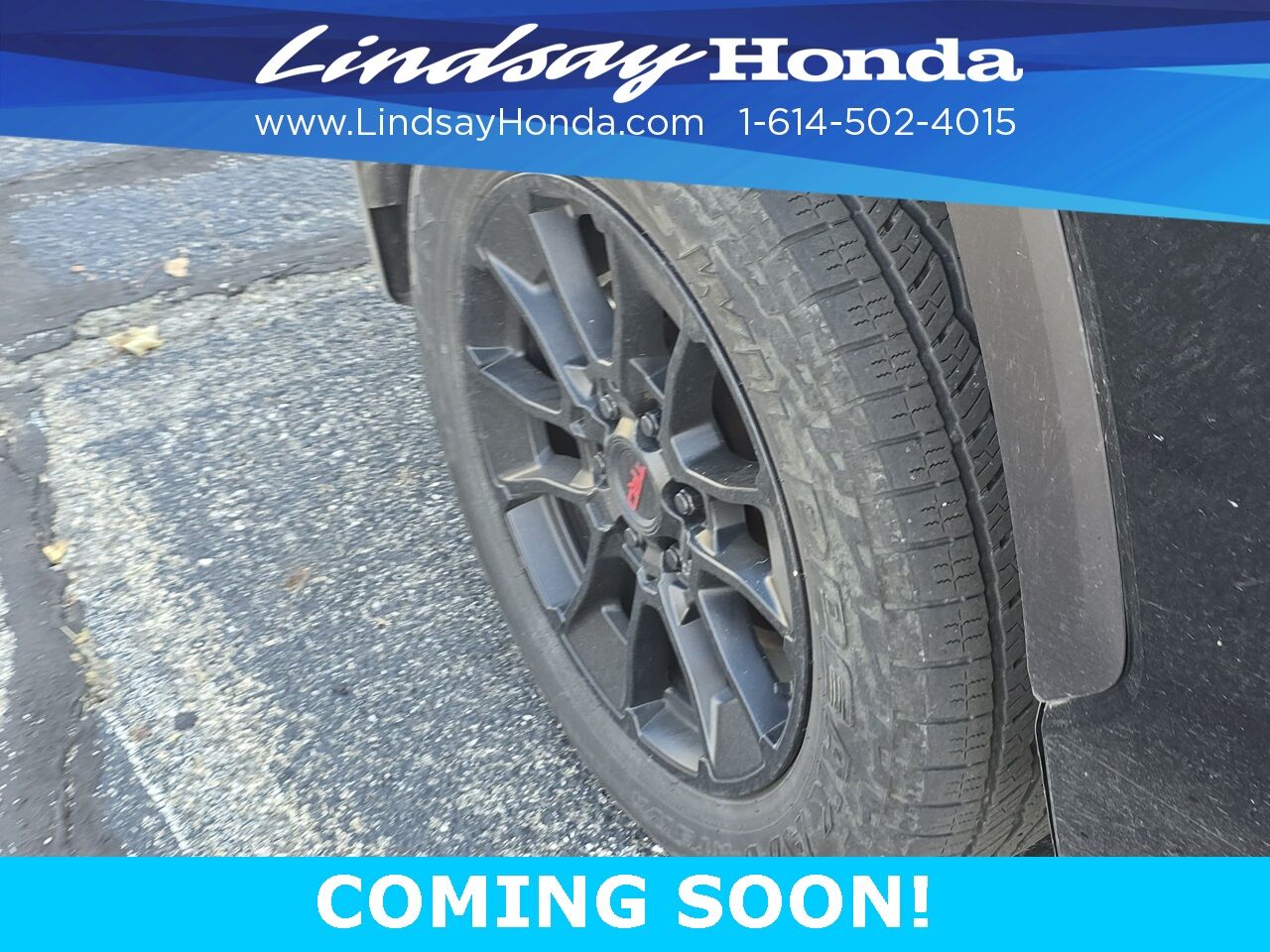 2024 Toyota Tundra Hybrid Limited Columbus OH