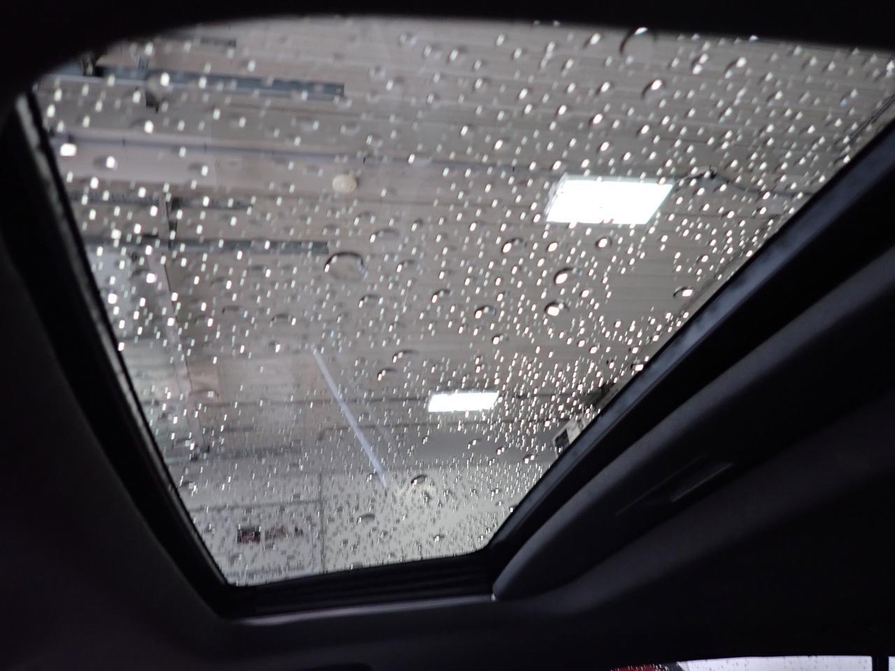 2025 Buick Envista Avenir 4DR LEATHER SUNROOF Listowel ON