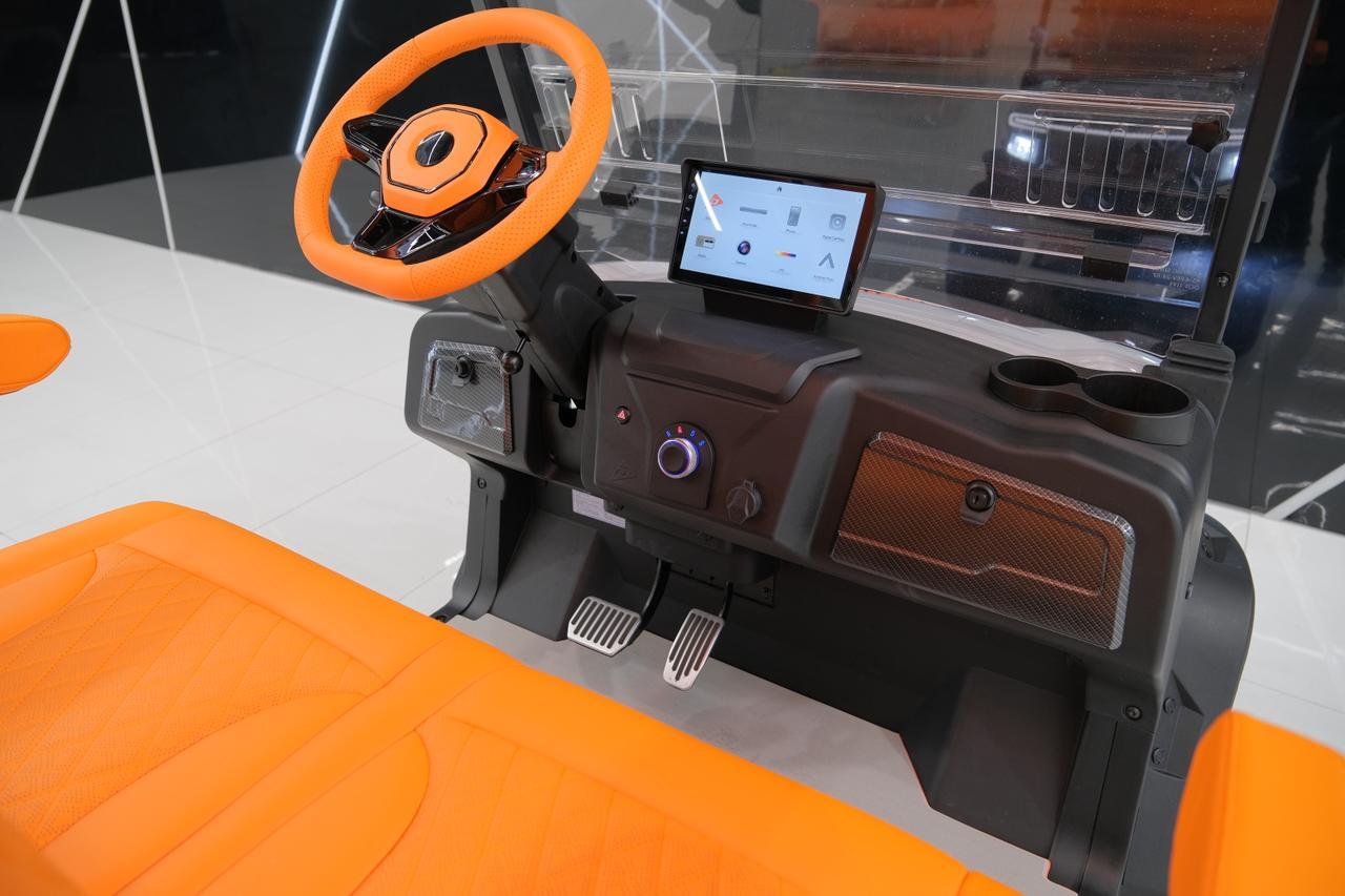 2025 DENAGO EV ROVER XL Miami FL