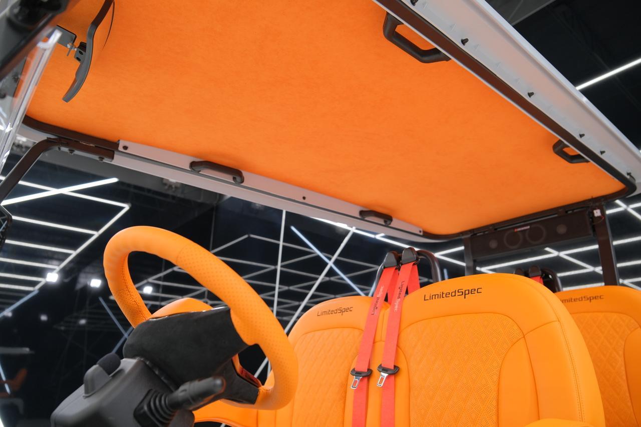 2025 DENAGO EV ROVER XL Miami FL