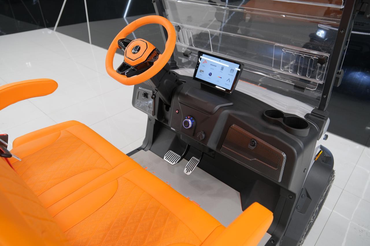 2025 DENAGO EV ROVER XL Miami FL