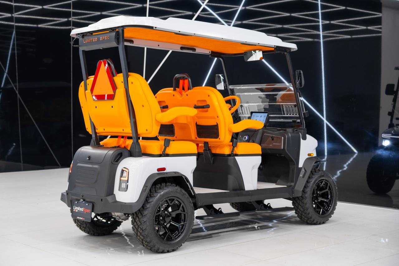 2025 DENAGO EV ROVER XL Miami FL