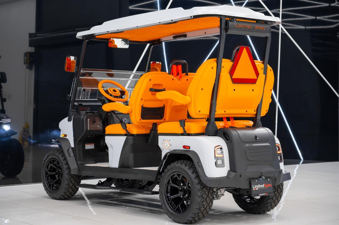 2025 DENAGO EV ROVER XL Miami FL