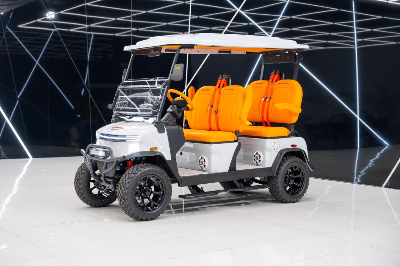 2025 DENAGO EV ROVER XL Miami FL