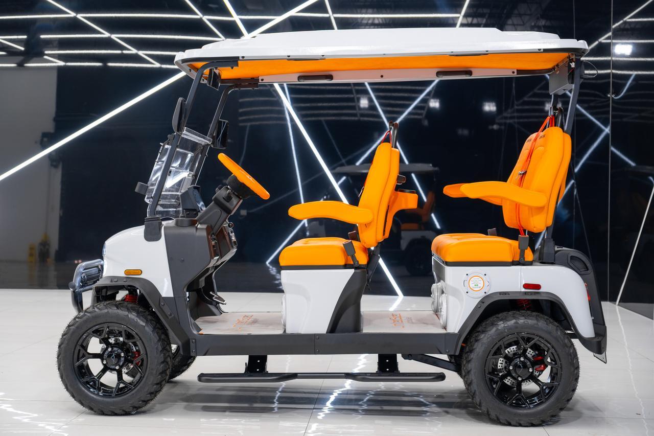 2025 DENAGO EV ROVER XL Miami FL