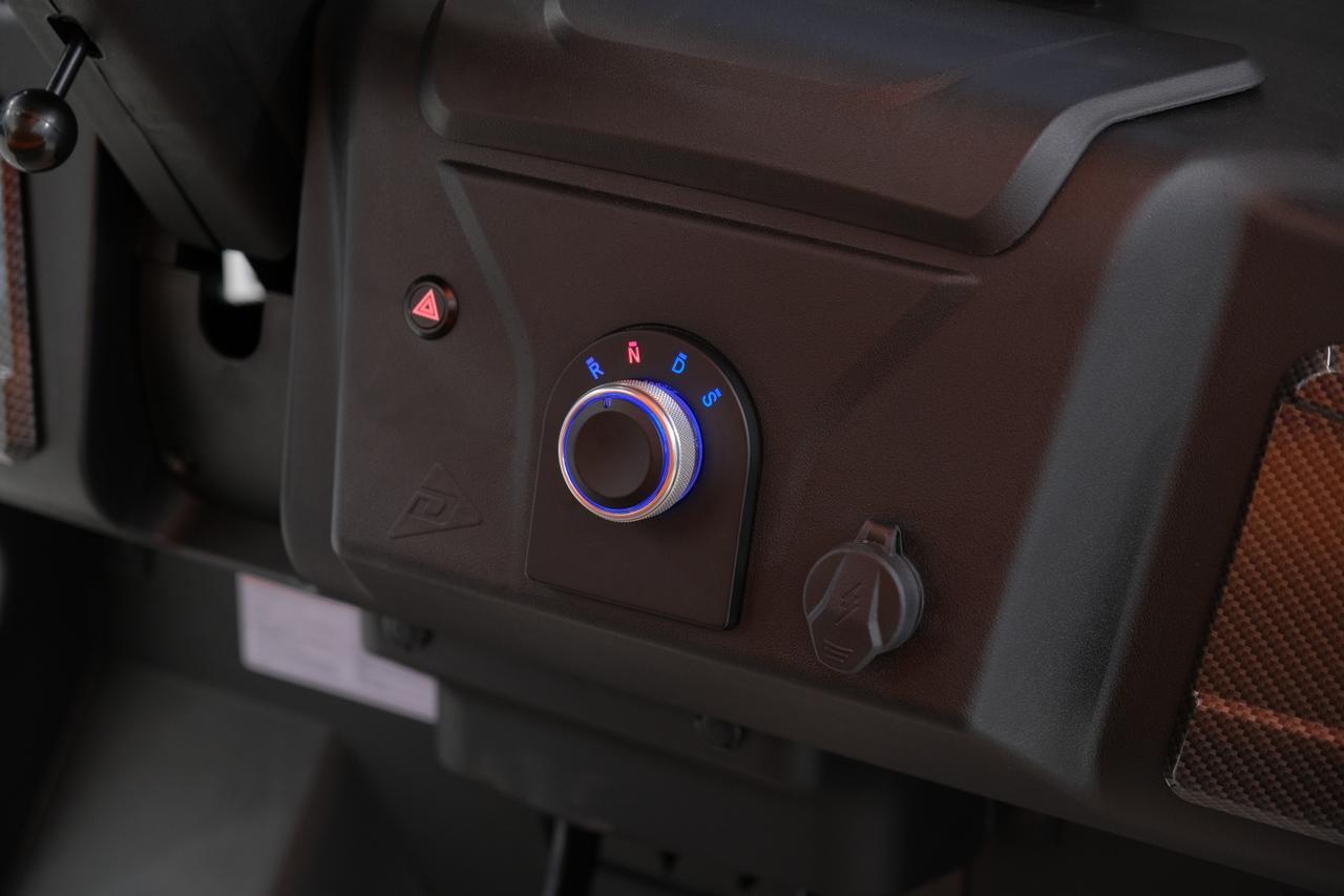 2025 DENAGO EV ROVER XL Miami FL