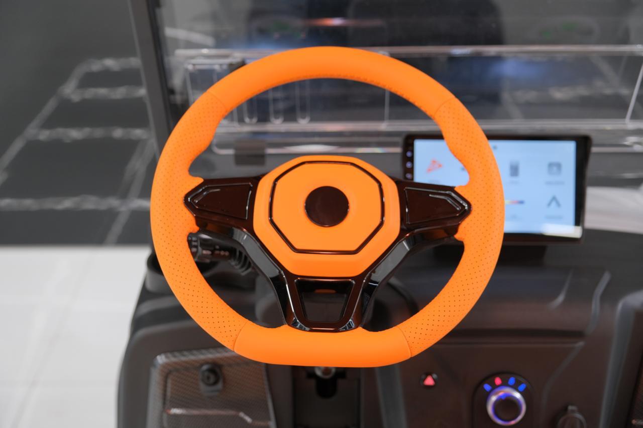 2025 DENAGO EV ROVER XL Miami FL