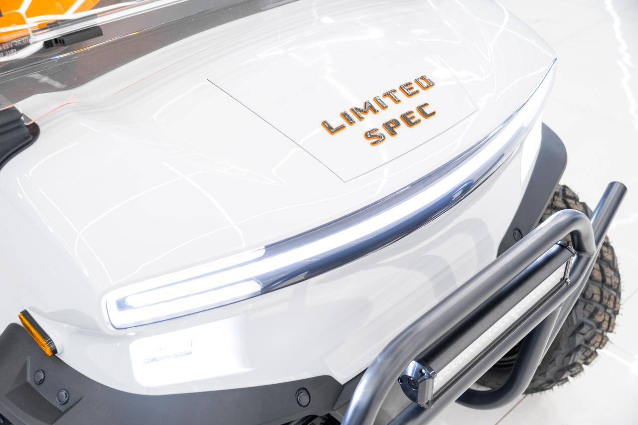 2025 DENAGO EV ROVER XL Miami FL