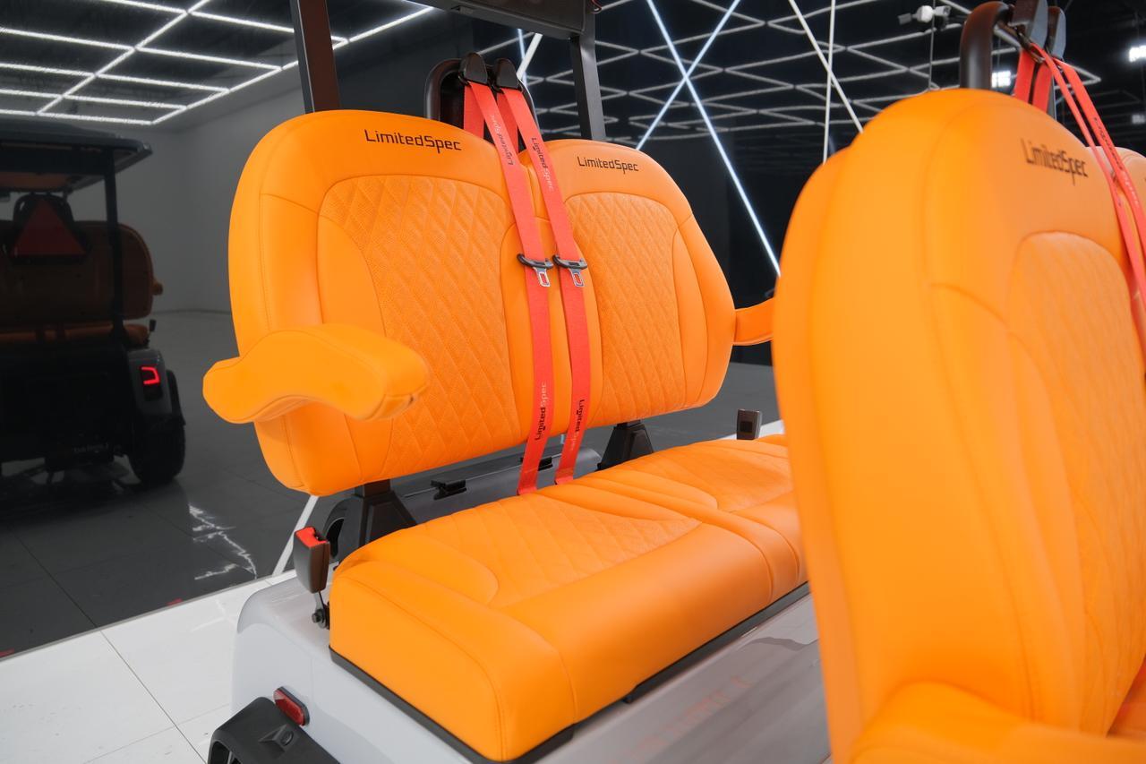 2025 DENAGO EV ROVER XL Miami FL