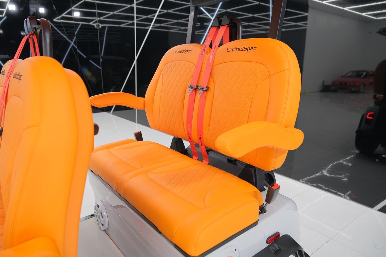 2025 DENAGO EV ROVER XL Miami FL