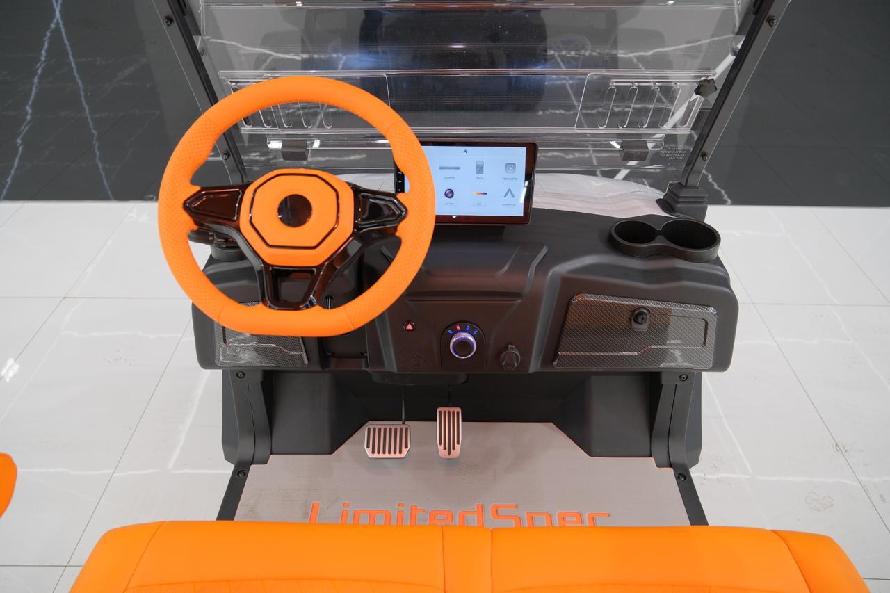 2025 DENAGO EV ROVER XL Miami FL